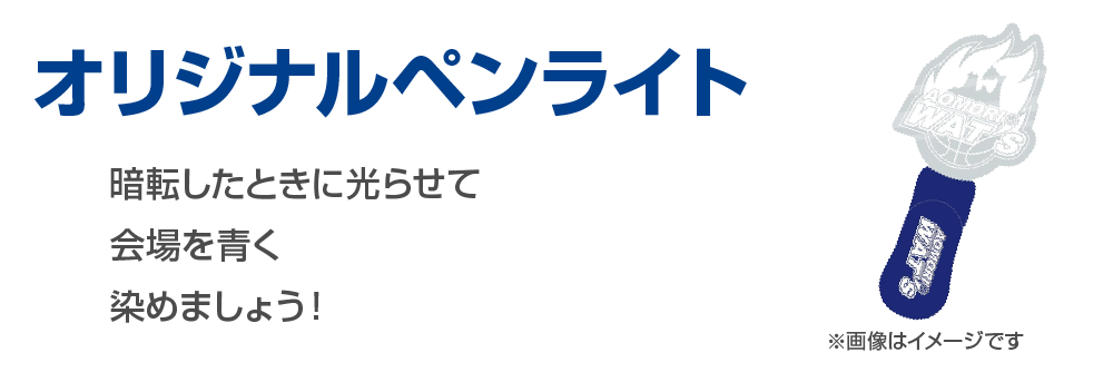 オリジナルペンライト、暗転した時に光らせて会場を青く染めましょう!