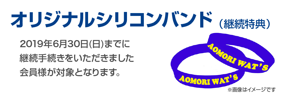 オリジナルシリコンバンド(継続特典)、2019年6月30日(日)までに継続手続きをいただきました会員様が対象となります。